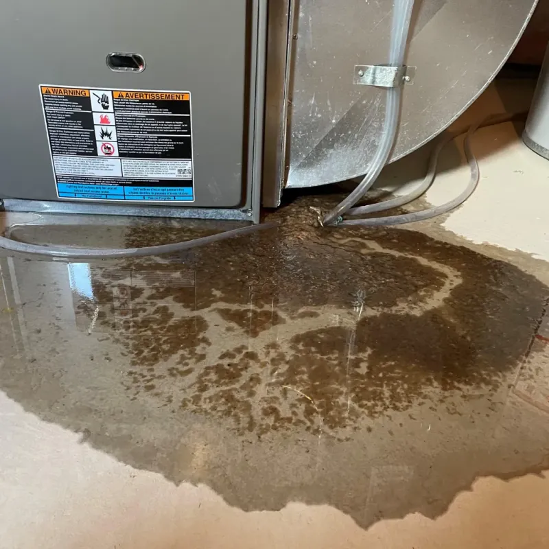 Appliance Leak Cleanup in Southside, AL